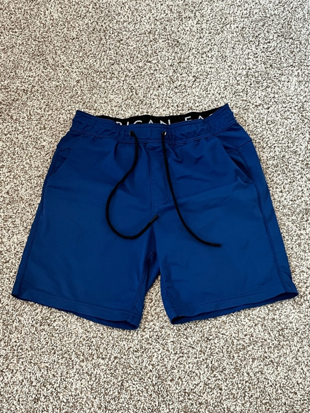 American Eagle Outfitters Men's Royal Blue Athletic Drawstring Shorts